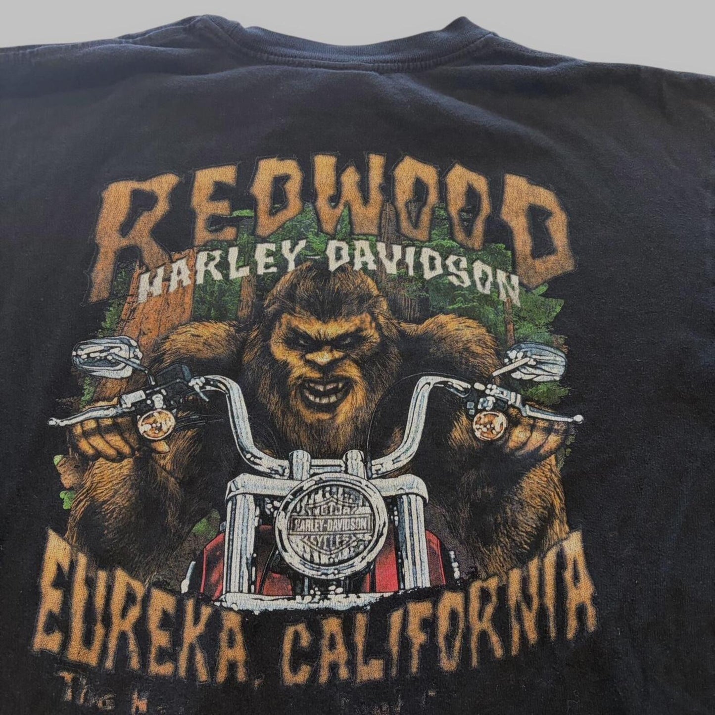 Harley Davidson Sasquatch tee - XL