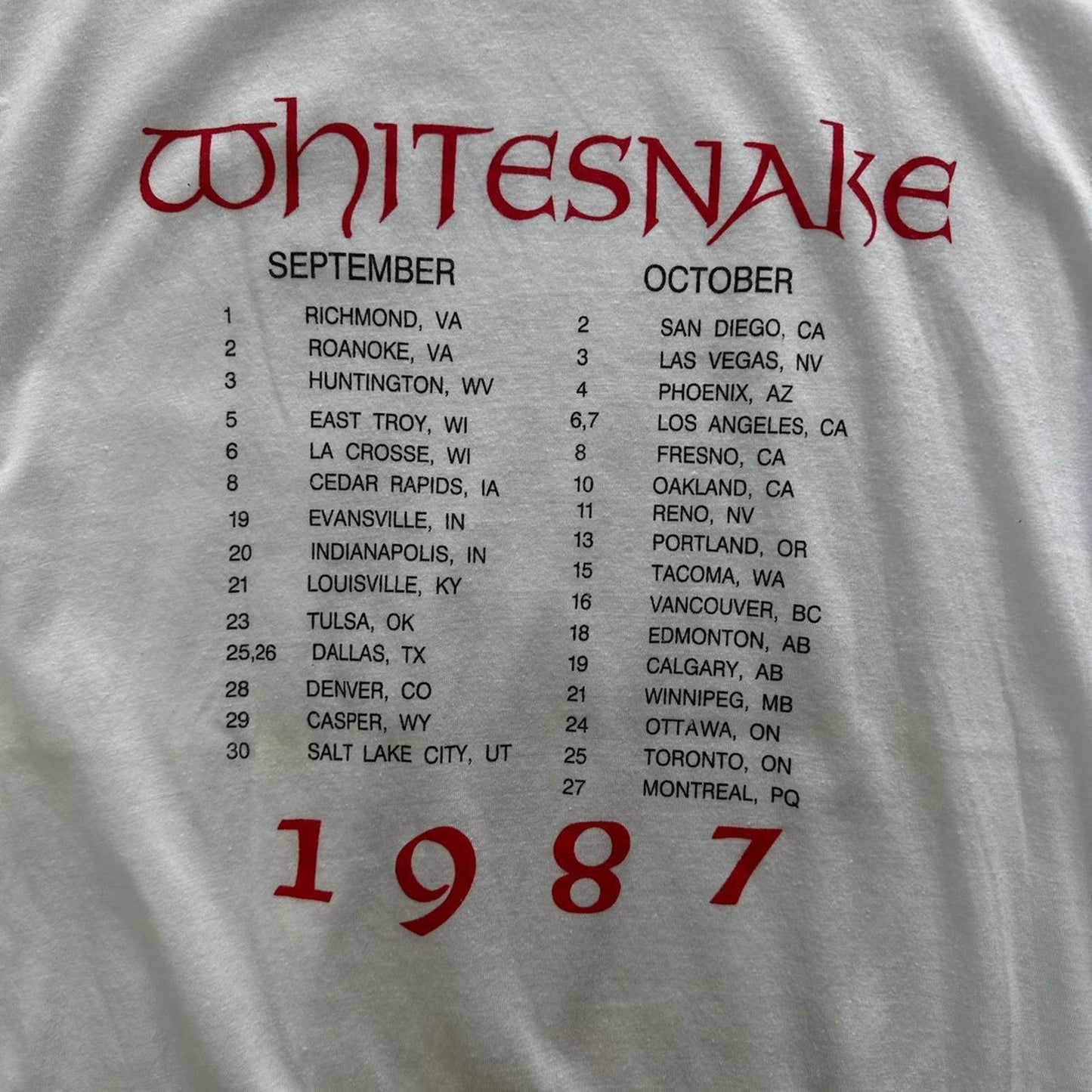 Fruit of the Loom Men's White Tshirt - L