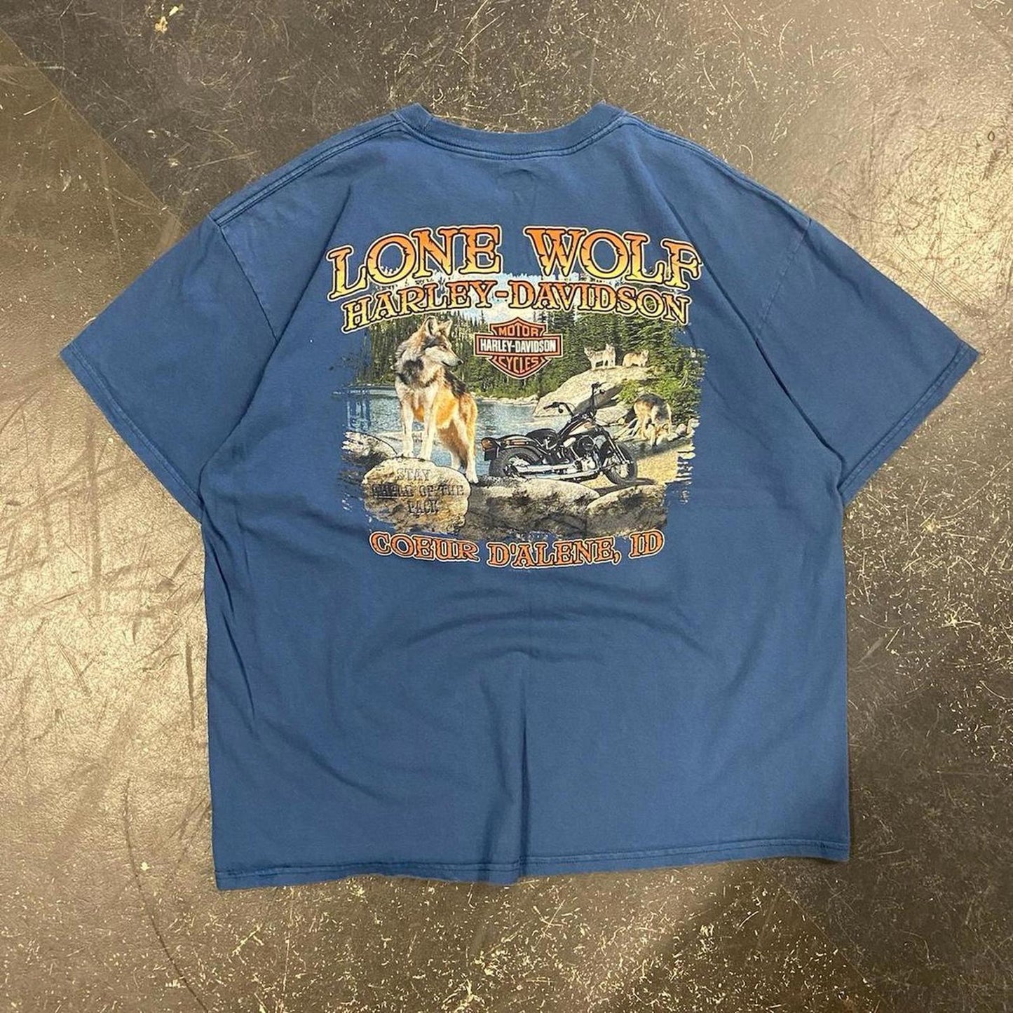 Blue Harley Davidson Idaho Tee - XL