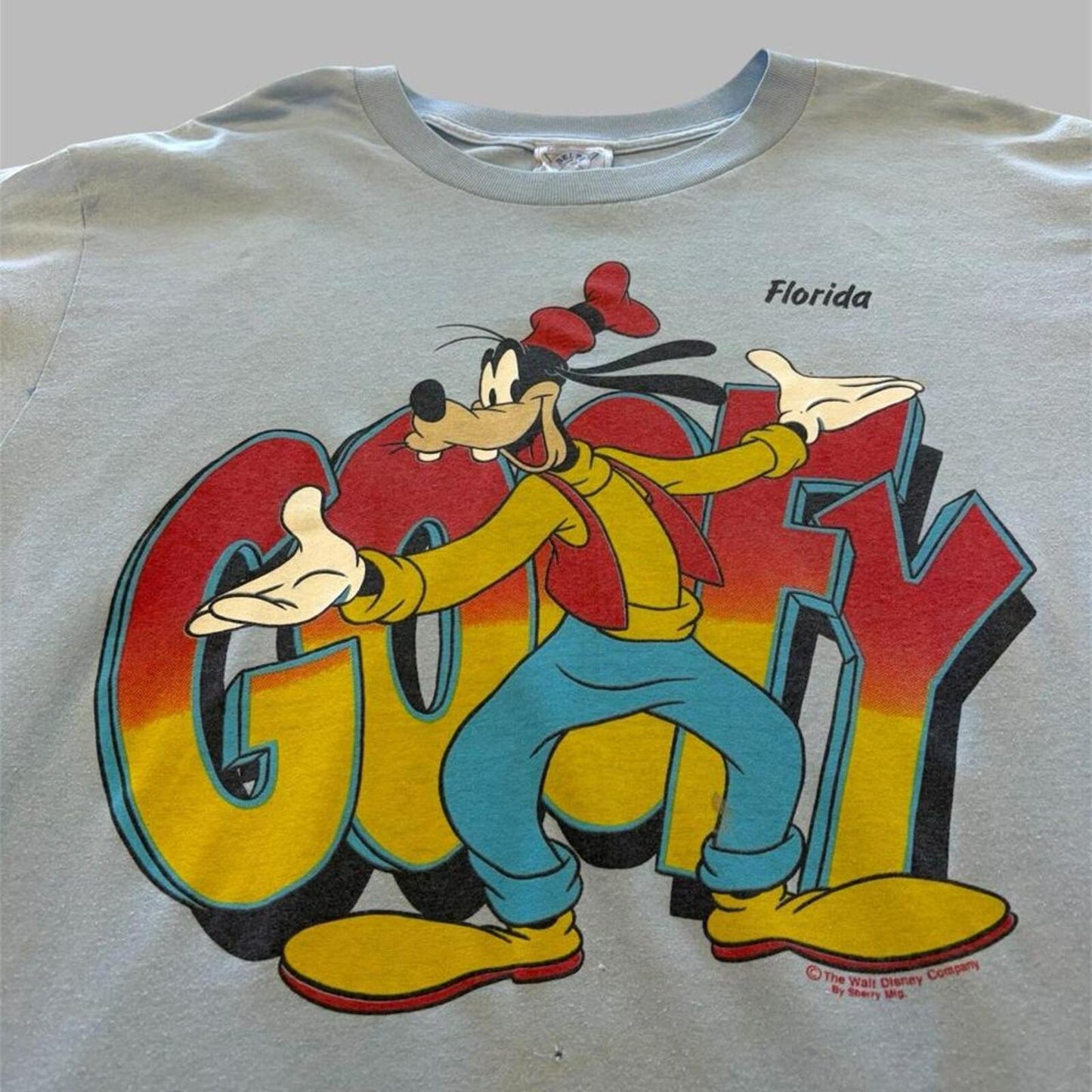 Vintage Blue Goofy Tee - L