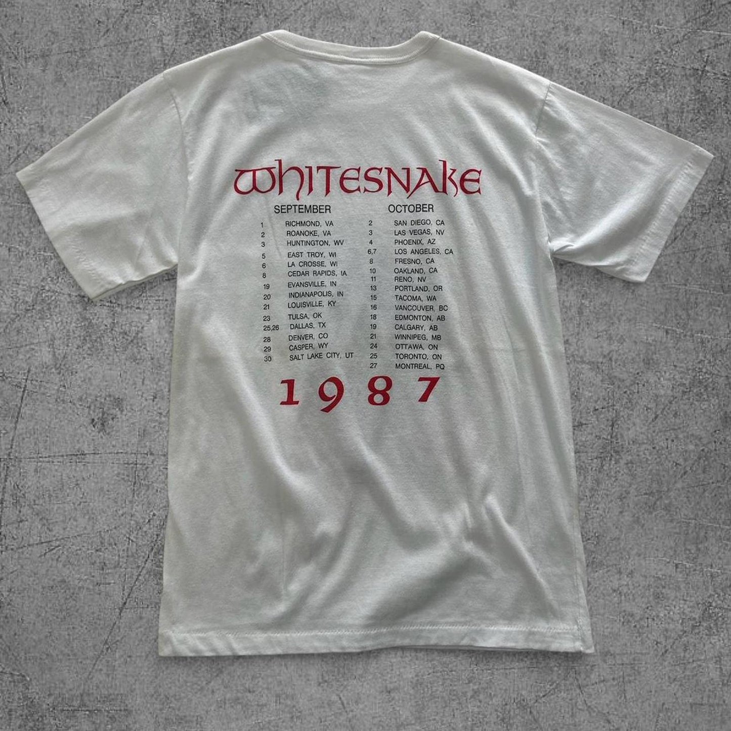 Fruit of the Loom Men's White Tshirt - L