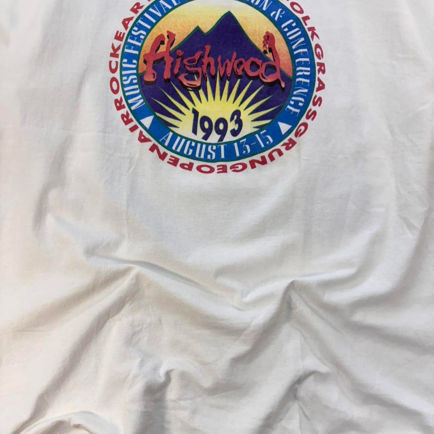 1993 Highwood Social Distortion Music Festival Tee - XL