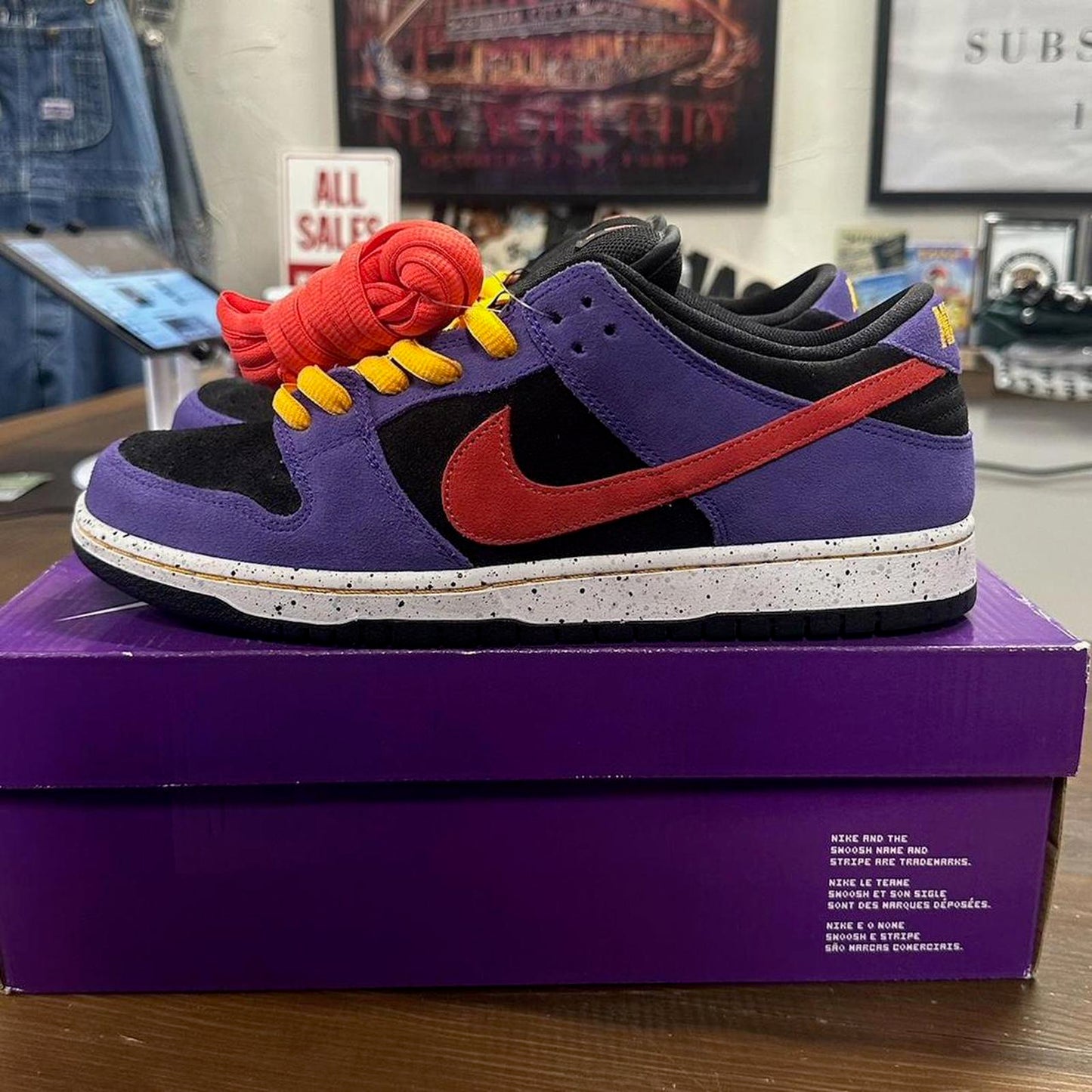 Deadstock Nike ACG SB Terra Black Dunks - 10M