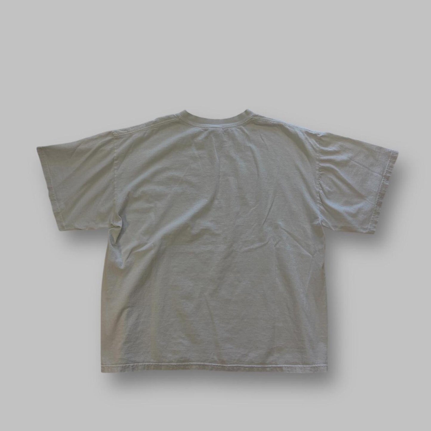 Vintage Molson Canadian house party tee - XL
