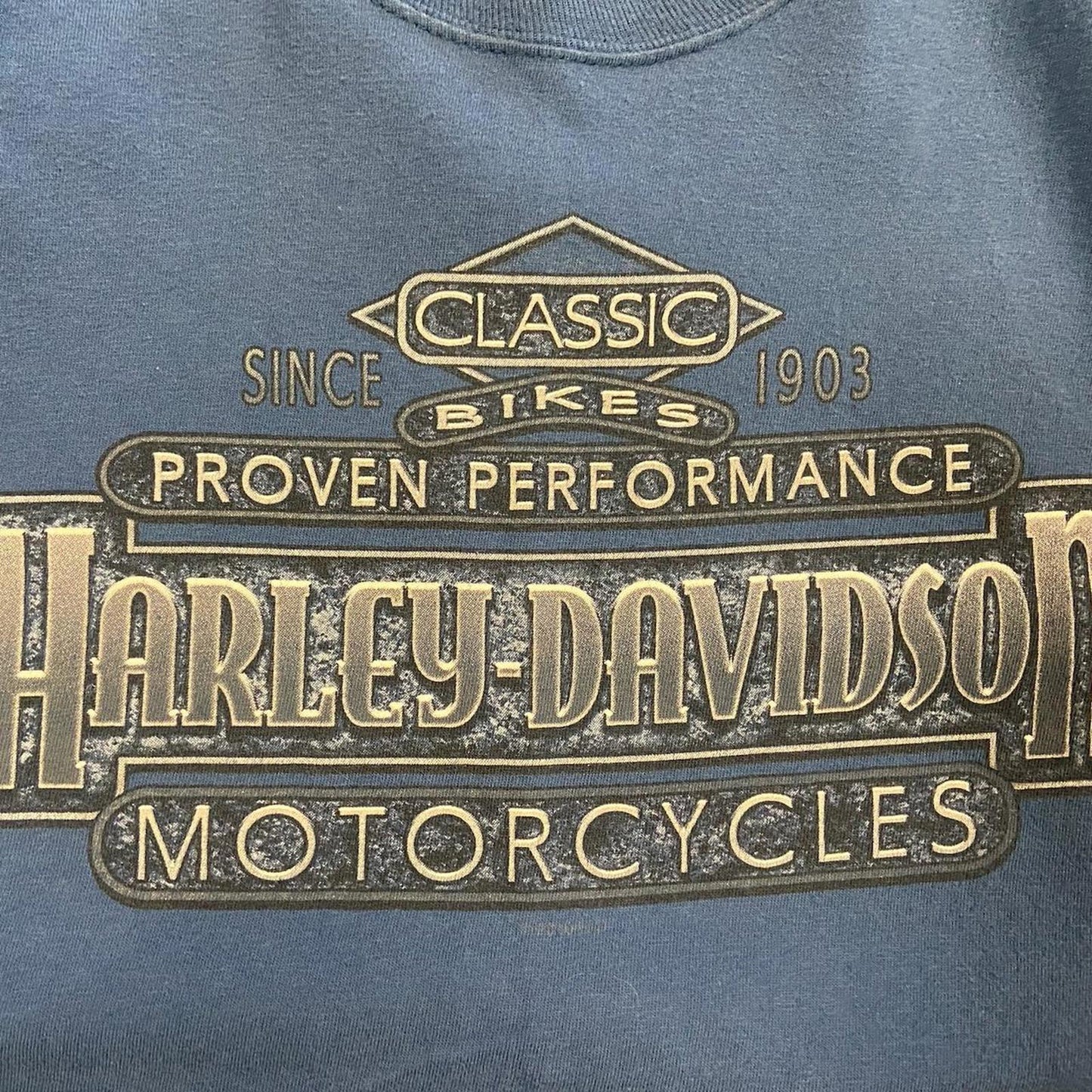 Blue Harley Davidson Idaho Tee - XL