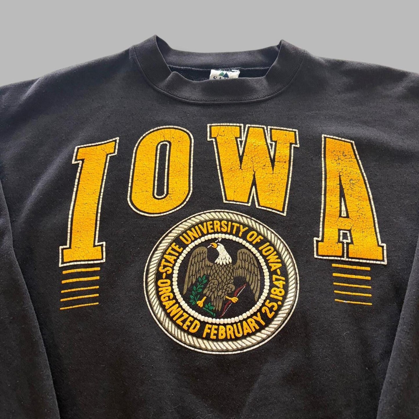 Vintage 90s Iowa Hawkeyes University Crewneck - XL