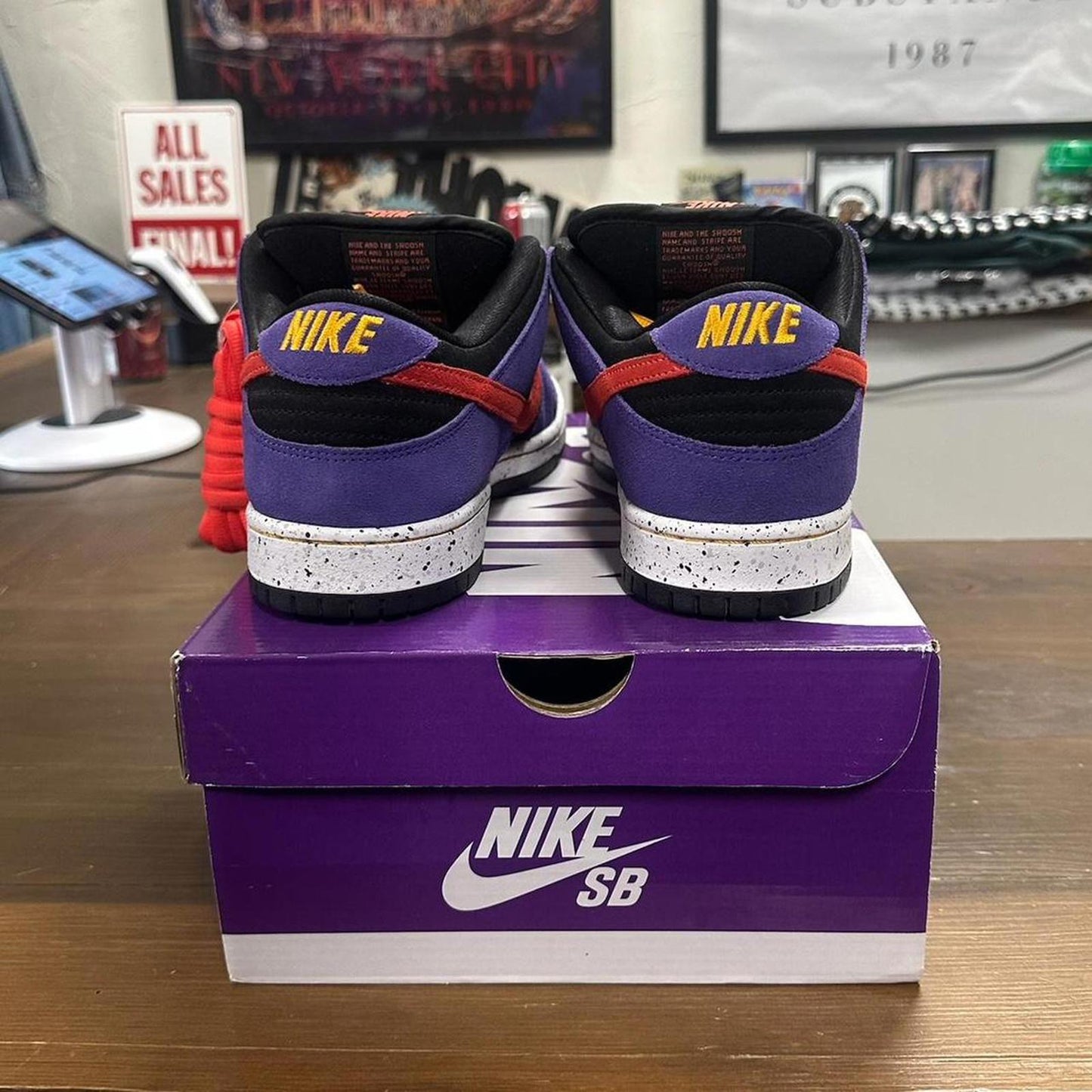Deadstock Nike ACG SB Terra Black Dunks - 10M