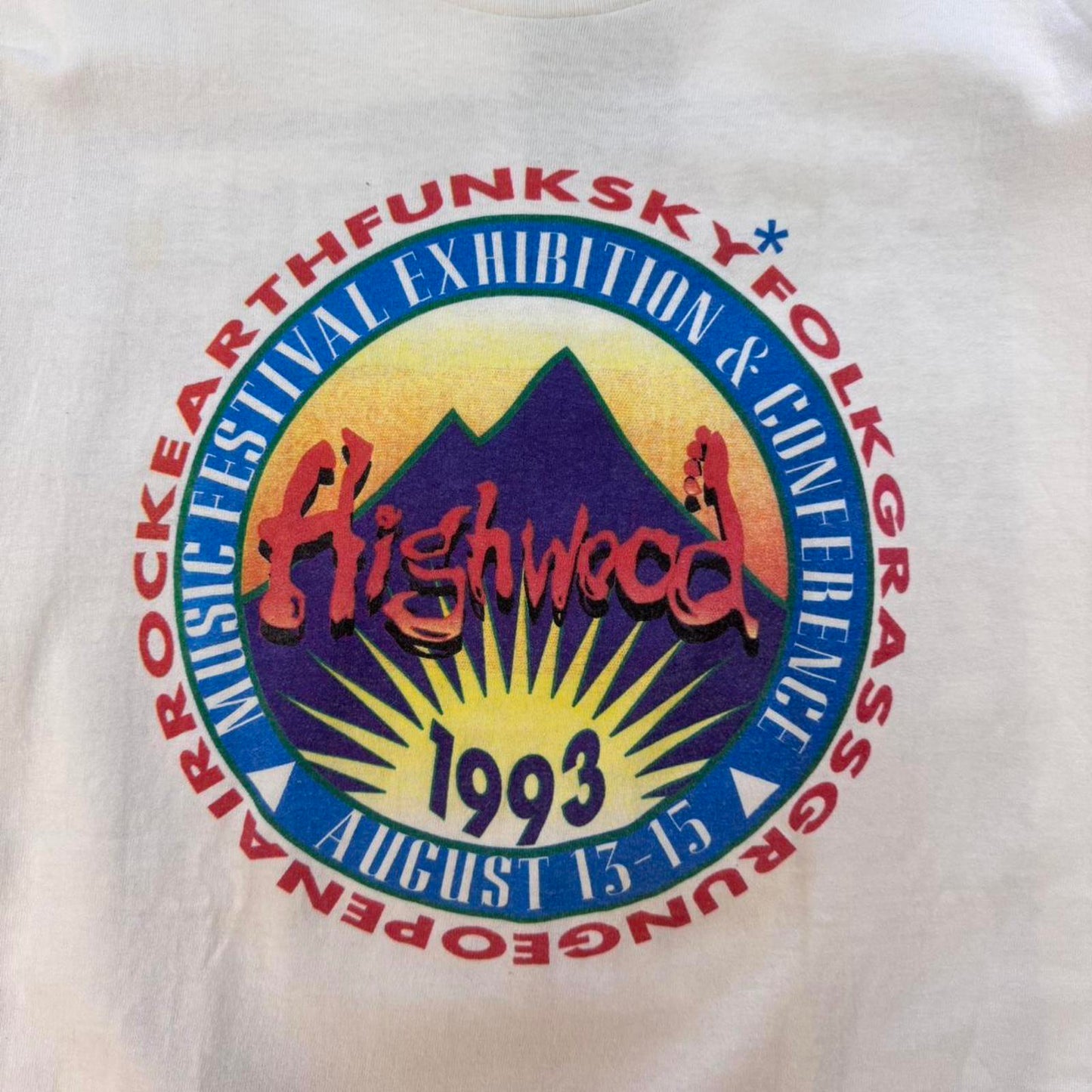 1993 Highwood Social Distortion Music Festival Tee - XL