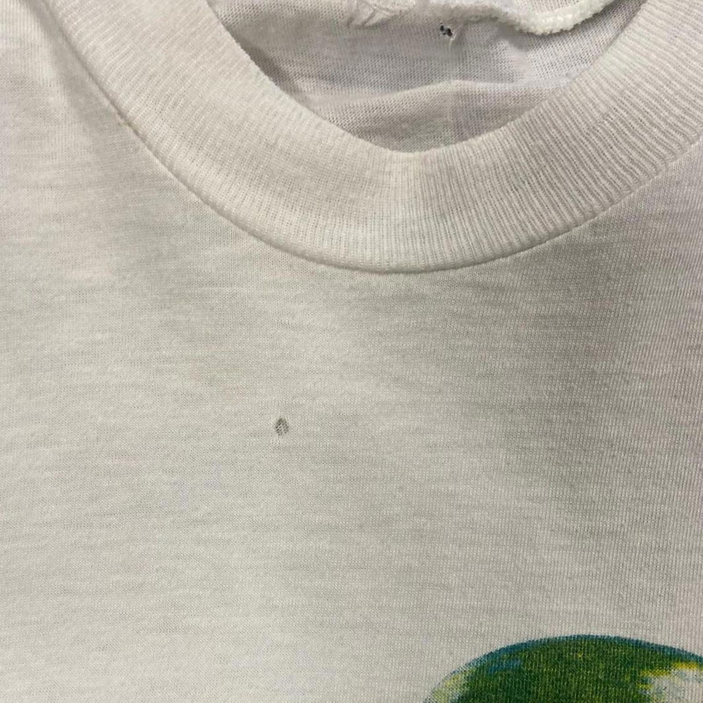 1994 Tina and the Top Ten Teenage Drool Tour Tee - L