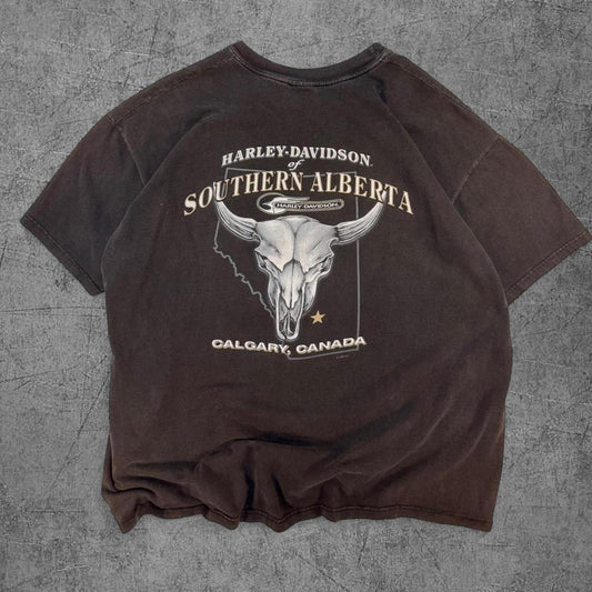 Vintage 1998 Calgary Harley Davidson Tee - XXL
