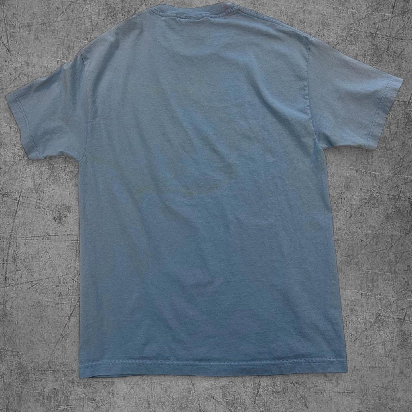 Vintage 90s Baby Blue Bird House Dragon Egg Tee - L