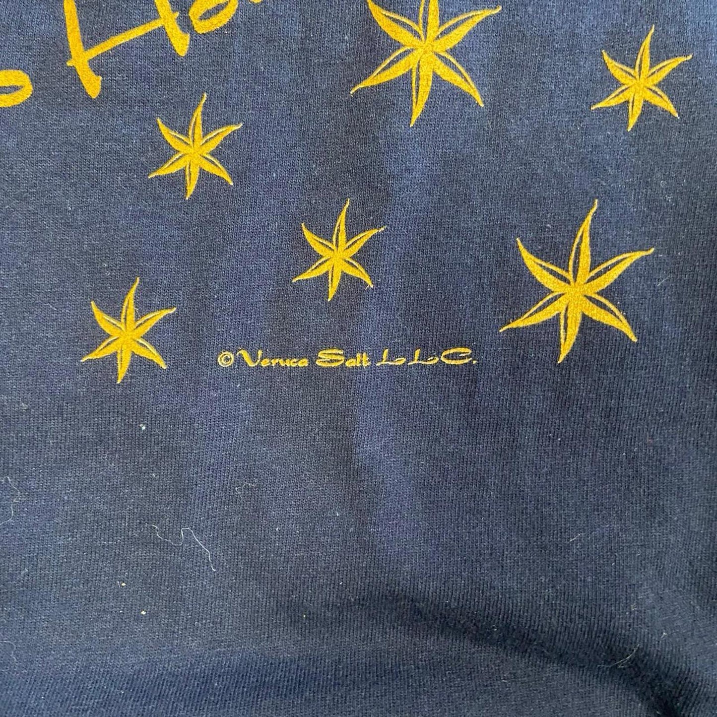 Vintage Veruca Salt 1997 Tour Tee - L
