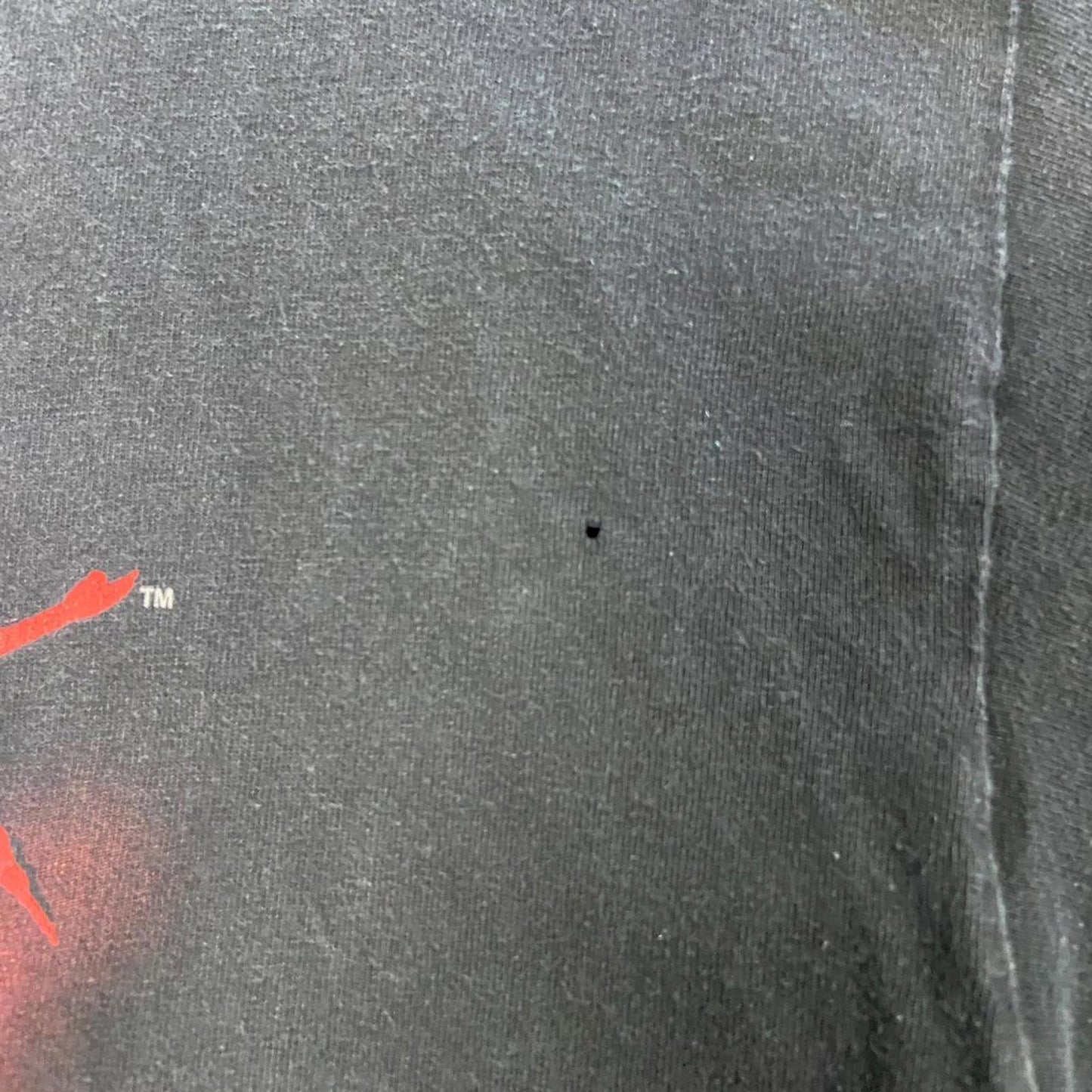 1999 WWF Smell what the Rock is Cooking Tee - L