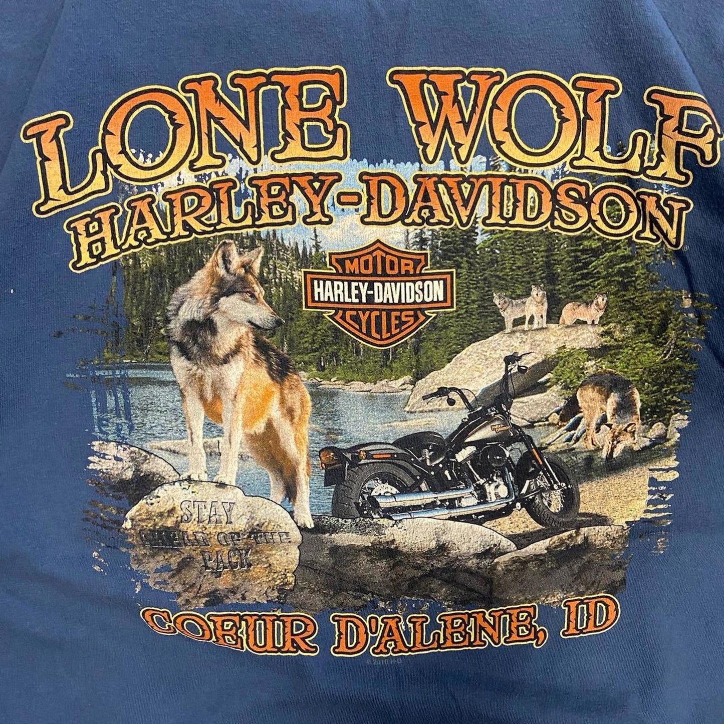 Blue Harley Davidson Idaho Tee - XL