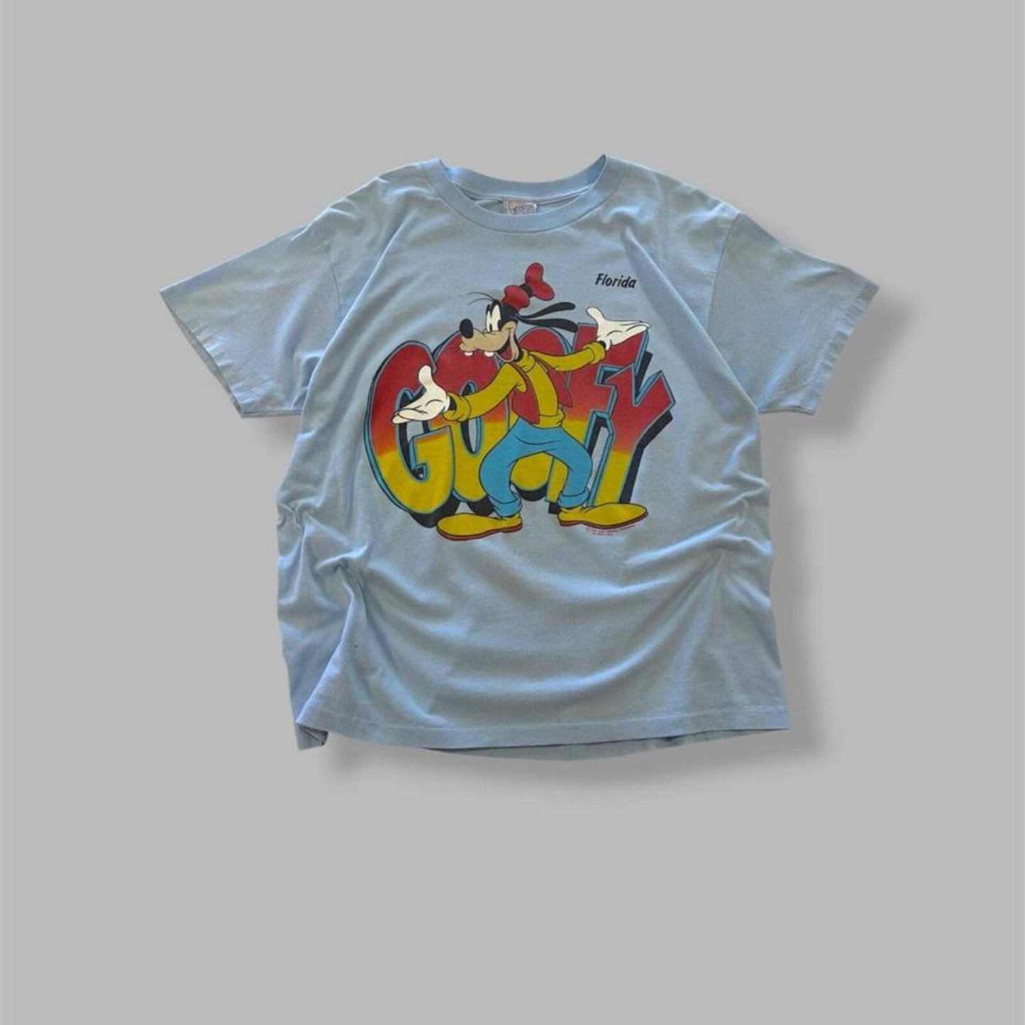 Vintage Blue Goofy Tee - L